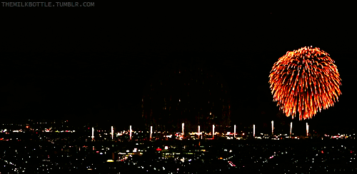 Bilder/happy-new-year-2014-celebration-fireworks.gif
